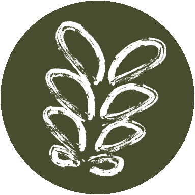 Boneleaf Skincare Co.